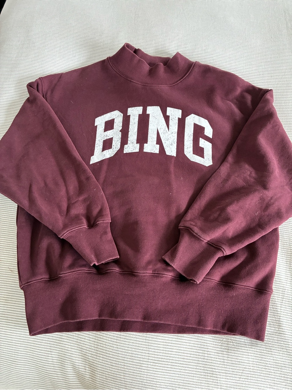 Anine Bing Burgundy Sweatshirt